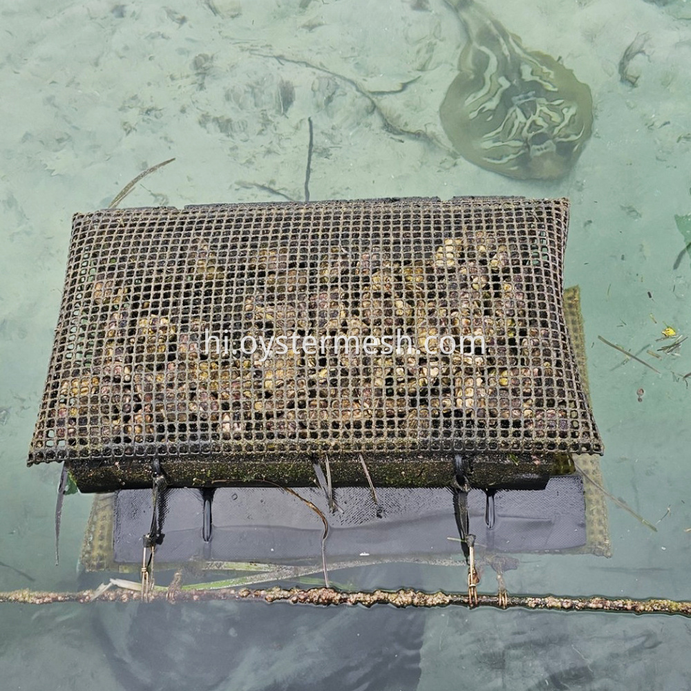 9mm Foam Oyster Mesh Bag